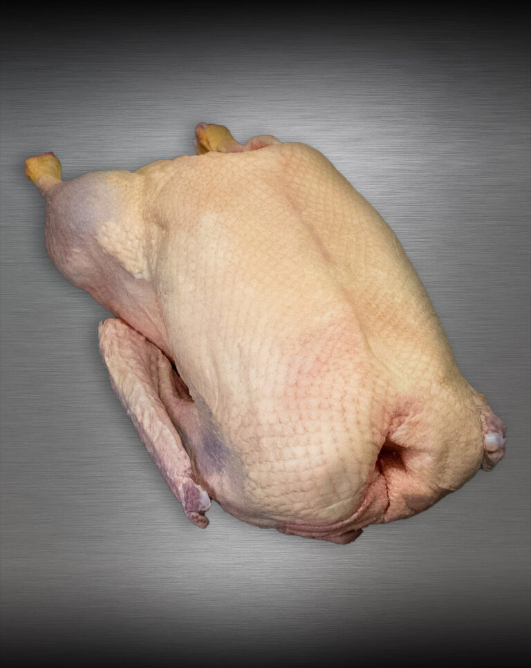 Gans aus Pommern Extra-Qualität roh, Premium-Geflügel vor metallischem Hintergrund