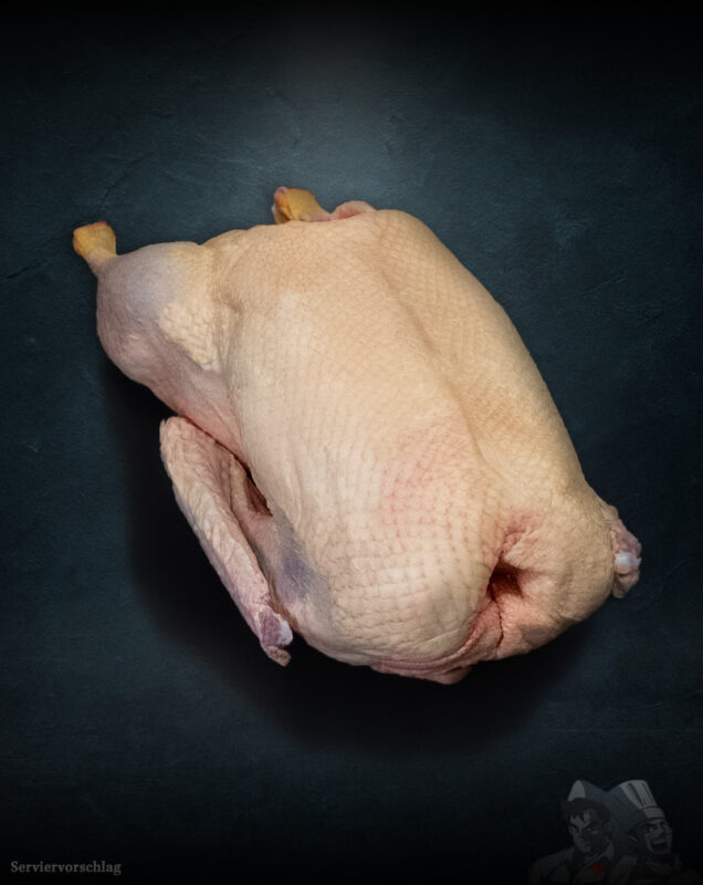 Gans aus Pommern Extra-Qualität roh, Premium-Geflügel vor metallischem Hintergrund