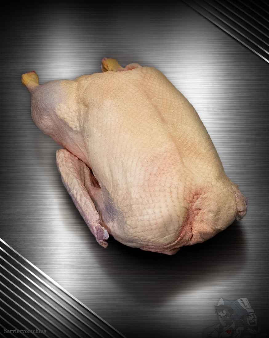 Gans aus Pommern Extra-Qualität Gans aus Pommern Extra-Qualität roh, Premium-Geflügel vor metallischem Hintergrund