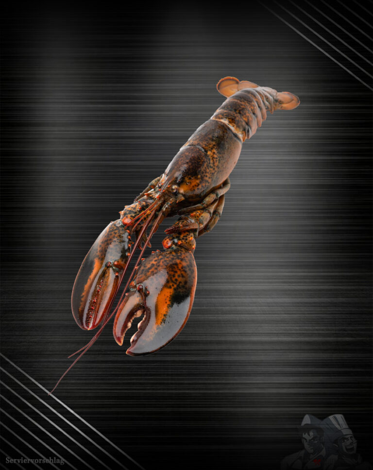 Hummer vorgelöst aus dem Atlantik mit Zange