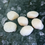 Jakobsmuscheln | 8/12 | Japan