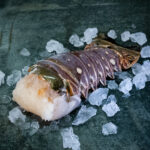 Langustenschwanz | Westatlantik