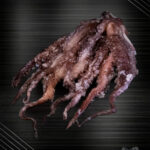 Oktopus Arme ganz - Pulpoarme