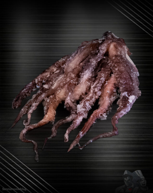 Oktopus Arme ganz - Pulpoarme