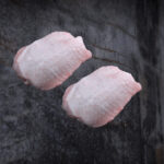 Pollo Fino, Hähnchensteak aus Deutschland perfekt für den Grill und deine Küche. Jetzt online bestellen und genießen