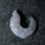 Garnelen | 31/40 | geschält