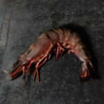 Black Tiger Riesengarnelen | 4/6