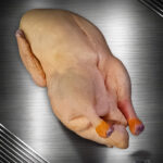 Ganze Ente aus Pommern roh, Premium-Geflügel edel inszeniert vor edlem Hintergrund