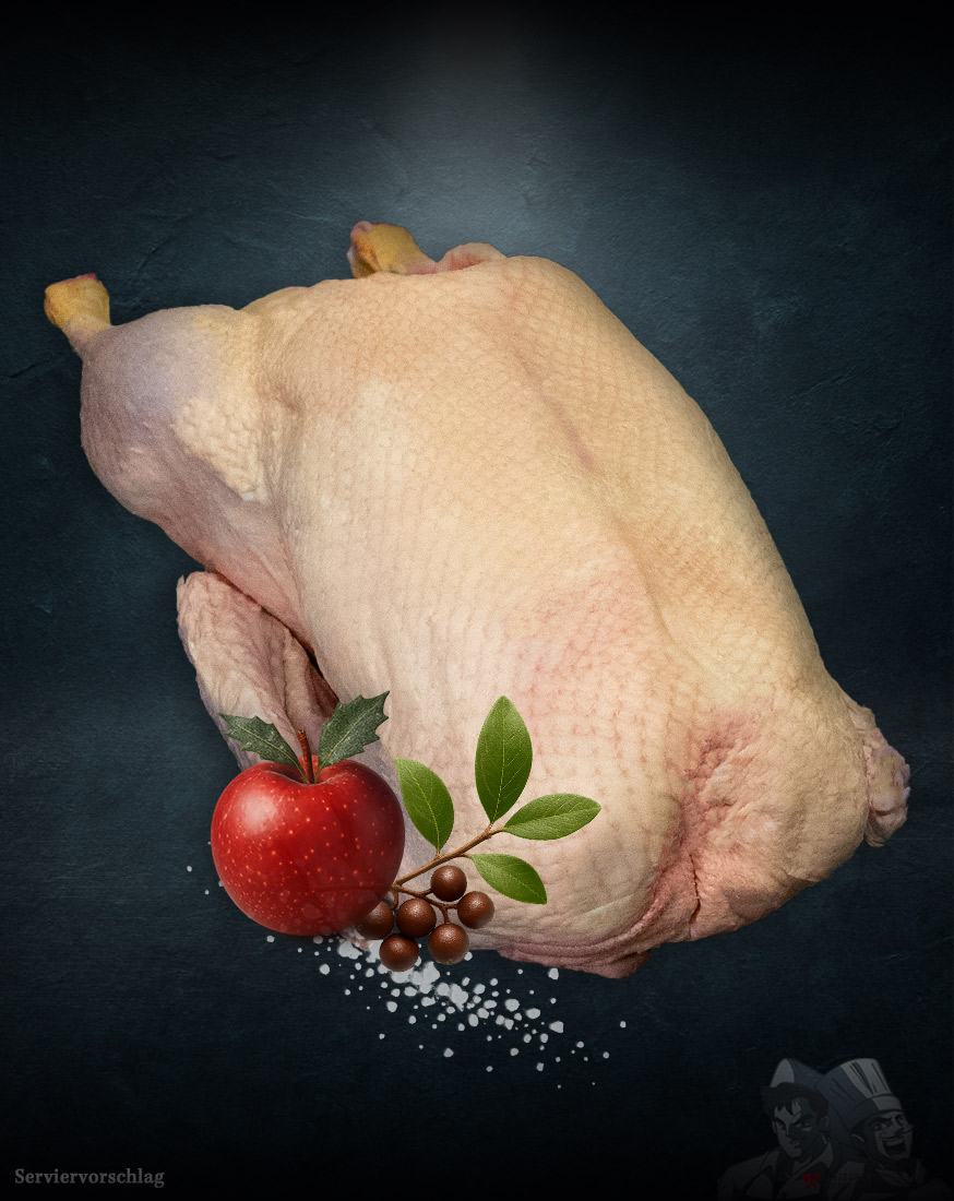 Freilandgans aus Werneuchen von Bauer Peters Werneuchener Freilandgans von Bauer Peters auf dunklem Hintergrund von Bauer Peters aus Werneuchen