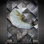 Athleten Garnelen roh, geschält und entdarmt, naturbelassen