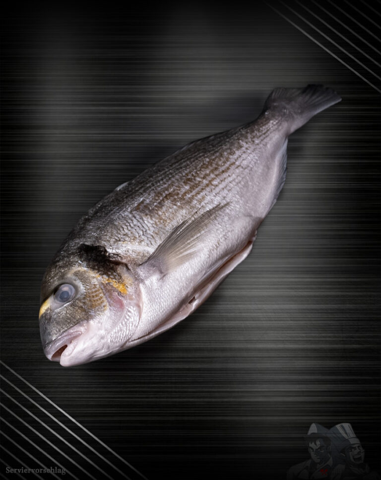 Dorade Royal aus der Türkei